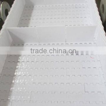 Grain Belt Conveyor photo-5