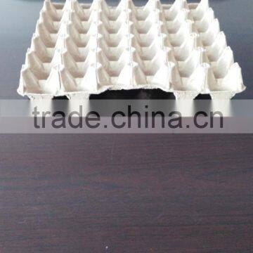 Molded Fiber Paper Pulp Egg Tray Machine photo-4