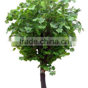 Larger Artificial Ficus Tree