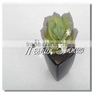 Different types artificial mini succulent plant