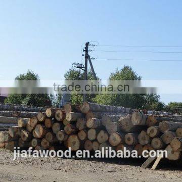 Birch , Alder Timber Round Logs and Lumber