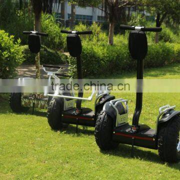 19 Inch two Wheel Lithium Battery Powerful Motor China Self Balancing One Wheel Electric Scooter