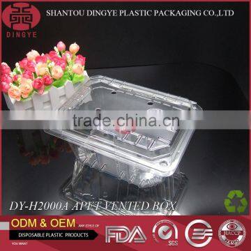 Transparent Vented APET Material Plastic Fruit container with Lid DY-H2000A