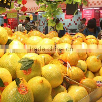 Buy fresh fruit honey yellow pomelo with High MRL Standard from China