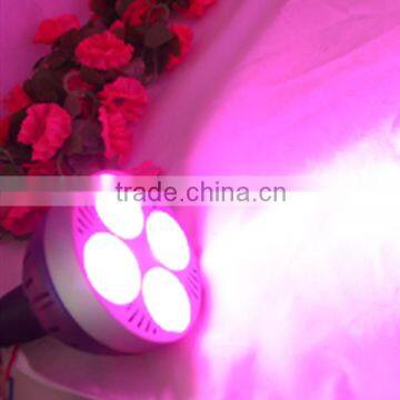 16pcs 3W Led Grow Light PAR 30 Led Grow Light E27 Led Grow Light for Vegetable Seed