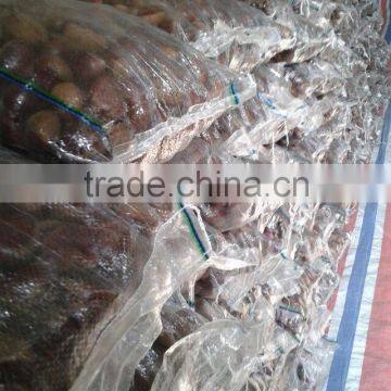 Dandong Fresh Chestnut 40-60 Fresh Chinese Chestnut for Sale photo-4