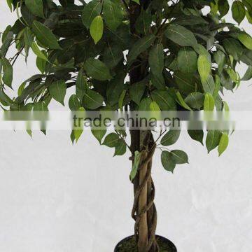 Indoor Artificial Ficus Tree Wooden Trunk for Sale photo-3