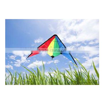 Dual Line Delta Stunt Kites - Straight Edge Kites