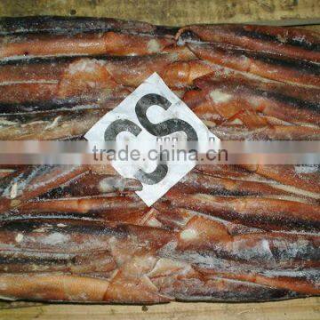 fresh frozen Argentina illex squid