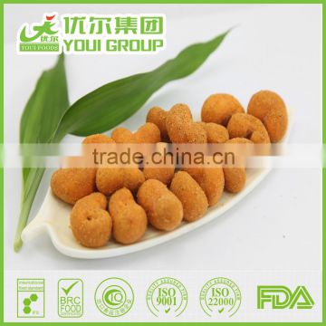 HAHAL BRC ISO Certificate Spicy Cashews NON-GMO,Rich in dietary fibres, good for Stomach