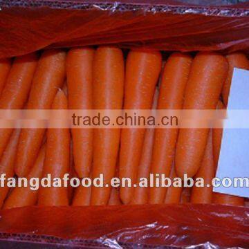 2014 new crop best price of farm fresh Carrot