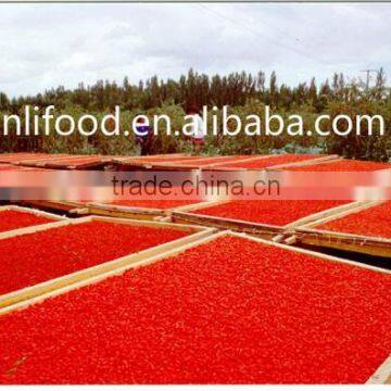 2015 New Crop Qinghai Goji Berries Wholesale Goji Berry