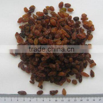 Best Price Red Raisin From China photo-2