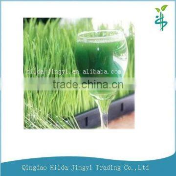 2015 JAS certified Organic wheatgrass extract juice powder