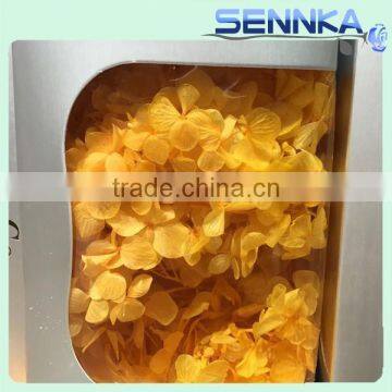 2016 Newest Gold Flower Hydrangea Preserved Flower Hydranger Fresh Flowers Farms Directly