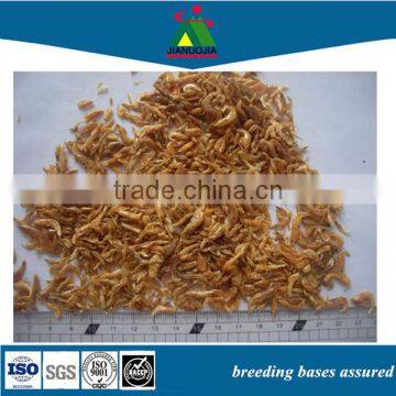 supplier canned reptile food petfood dries shrimp