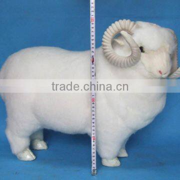 Realistic Taxidermy Replica Life Sized Tiny Sheep Gifts photo-2