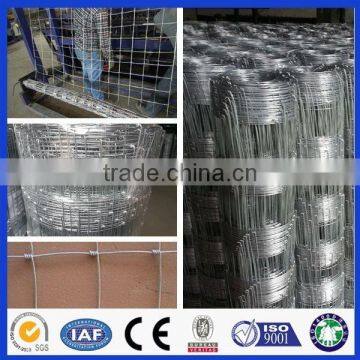 Made in china 20 years experience Professional factory hot sale field fence