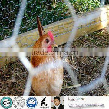 Anping Chicken Wire Factory/hexagonal wire netting/chicken wire mesh