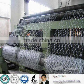 Anping Chicken Wire Mesh/Glavanized/PVC Anping Chicken Wire Mesh