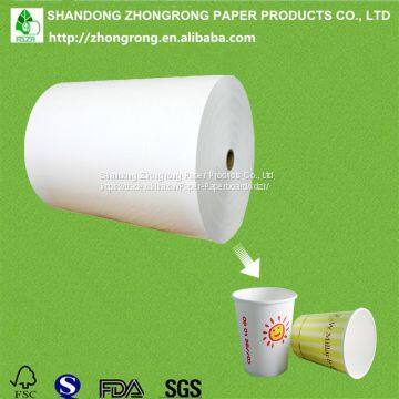 PE coated cup paper roll/reel