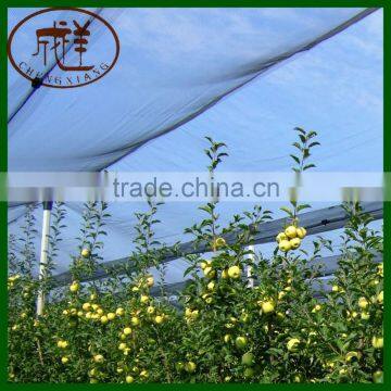 HDPE 80gsm virgin material hail protection anti hail netting