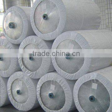 Nylon 6 dipped tire cord fabric