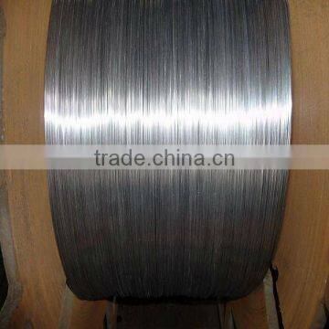 Stainless Steel Wire304