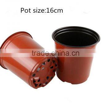 6 Pack Carry Tray for 16cm Pots / Pot Carry Tray photo-4