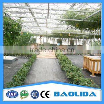 Long Life Span Polycarbonate Greenhouse Roofing photo-4
