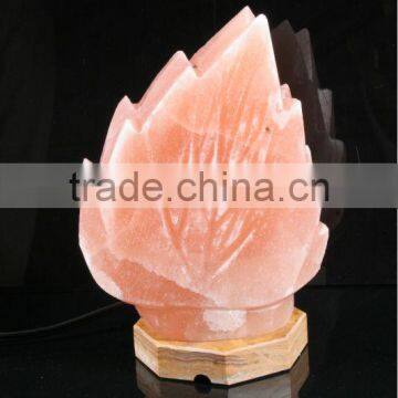 Fancy Salt Lamp/Salt Crafts Pakistan/Natural Salt/Flower Salt Lamps