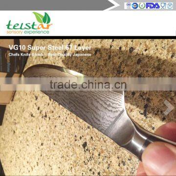 Chefs Knife 8 Inch - Best Quality Japanese VG10 Super Steel 67 Layer High Carbon Stainless Steel-Razor Sharp