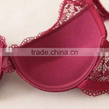 Custom Sexy Blue Bra Panty Set for Women photo-5