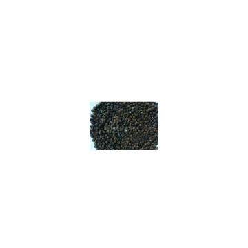 Black Pepper