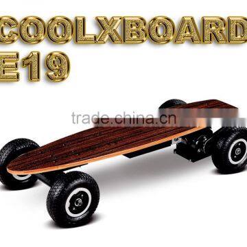 800W Electric Powered Skateboard