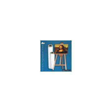 Professional fine art inkjet canvas,