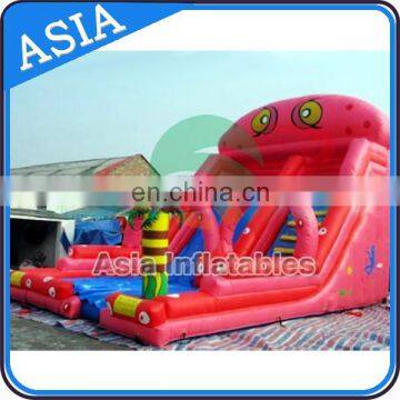 Cartoon Types Inflatable Water Slides , Family Sizes Inflatable Water Park For Kids