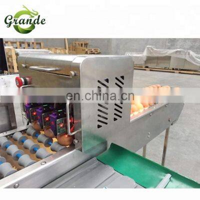 Hot Sale 5400Eggs/H Automatic Small Egg Grading Machine for Sale photo-2