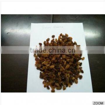 Raisins (Malayer) photo-2