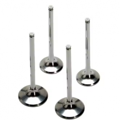 New BF6M1013EP Diesel Engine Valves Steel Intake & Exhaust