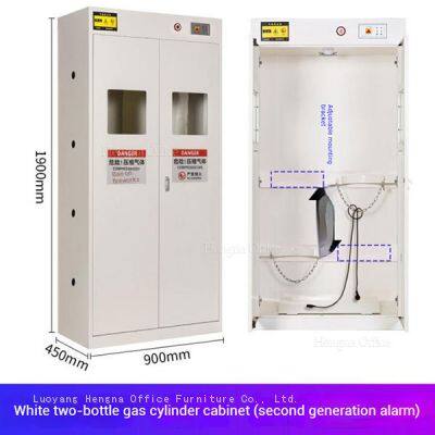 Stainless Steel Gas Cylinder Storage Cabinet with Temperature Control - Laboratory Safety Equipment