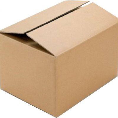 Packaging Carton