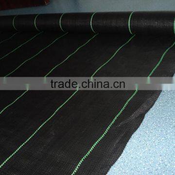 Weed Mat