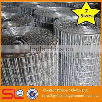 Galvanized Aviary Wire Mesh ( ISO 9001 factory)