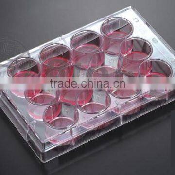 Cell and Tissue Culture Plates