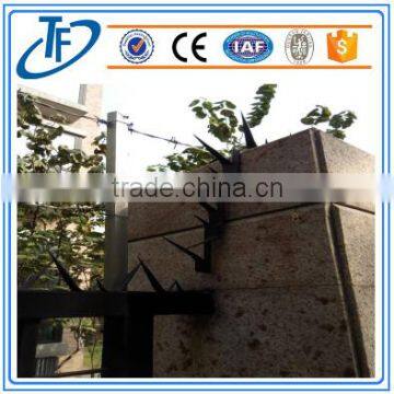 anti climb wall spikes