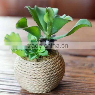 Home decorative Artificial mixed Mini succulent plant pvc potted succulent plant with different styles