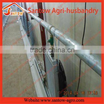 China Manufactur Factory Supply Broiler Chicks Rate in Animal Cage photo-3