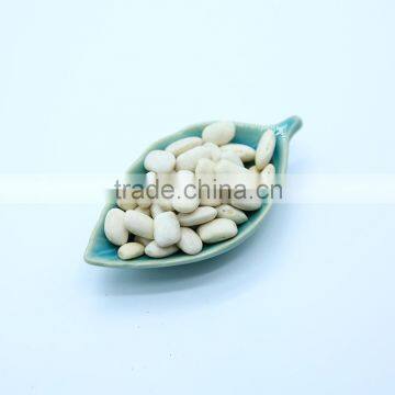 Chinese Medium White Kidney Beans Medium photo-2