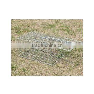 mouse cage trap SD636